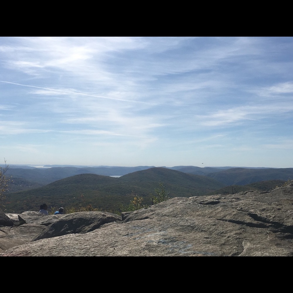 Meet your Posher, Lexie